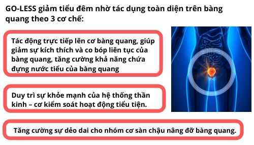 "thao duoc"