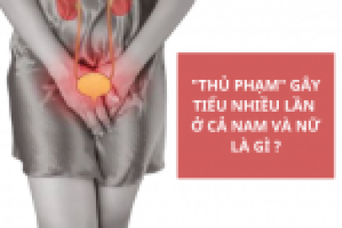 Chuyên gia tiết lộ thủ phạm "giấu mặt" gây TIỂU NHIỀU LẦN trong ngày ở cả nam và nữ