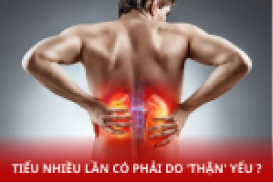 TIỂU NHIỀU, TIỂU ĐÊM, TIỂU SÓN là do thận yếu – đúng hay sai???